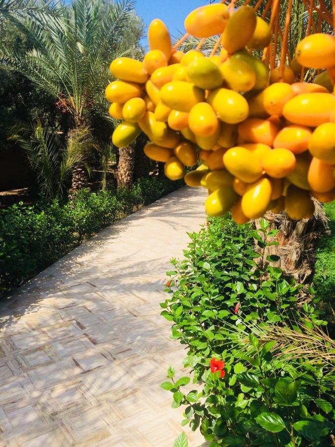 Riad Le Jasmin タルーダント エクステリア 写真