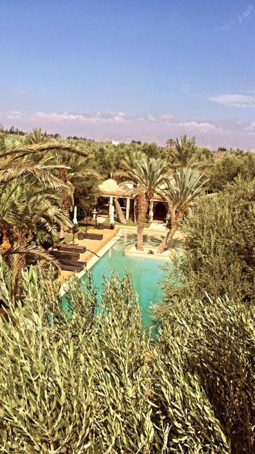 Riad Le Jasmin タルーダント エクステリア 写真