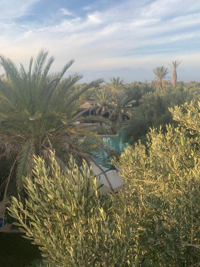 Riad Le Jasmin タルーダント エクステリア 写真