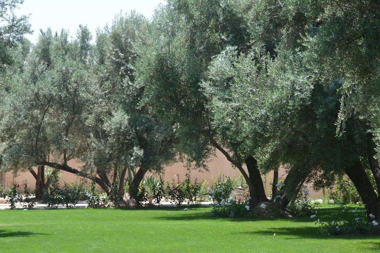 Riad Le Jasmin タルーダント エクステリア 写真