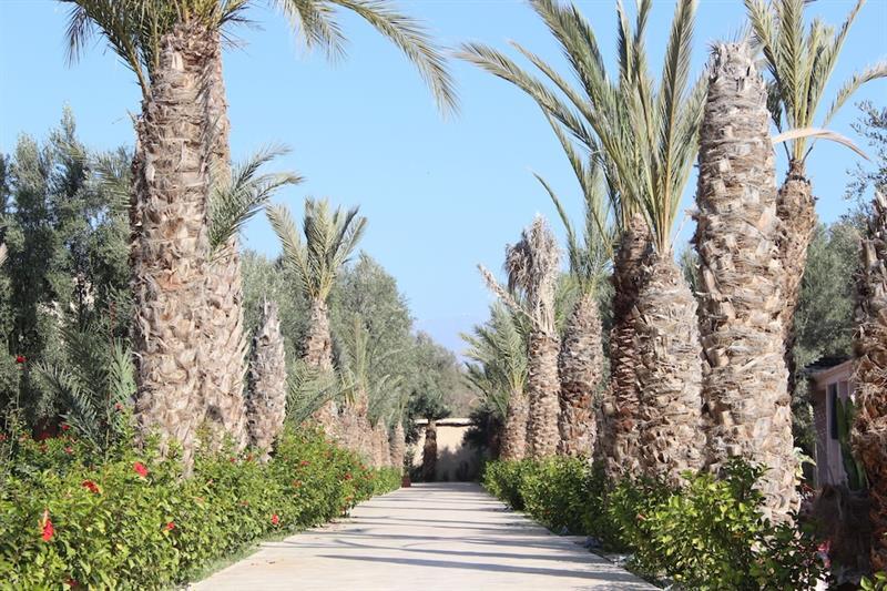 Riad Le Jasmin タルーダント エクステリア 写真